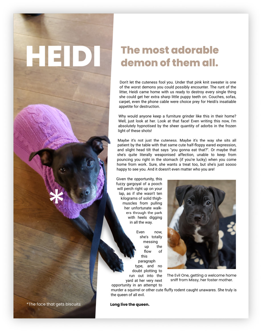 Figure 11.14 – Article starring a friend’s dog, Heidi