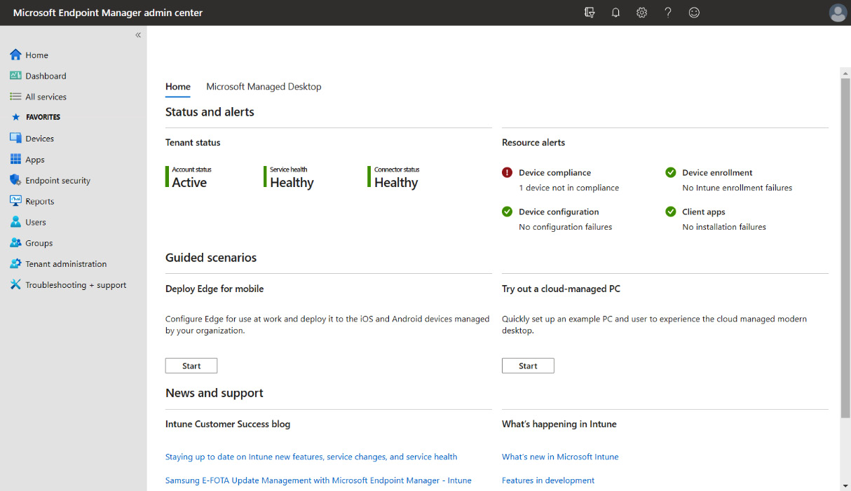 Figure 1.2 – MEM – management console
