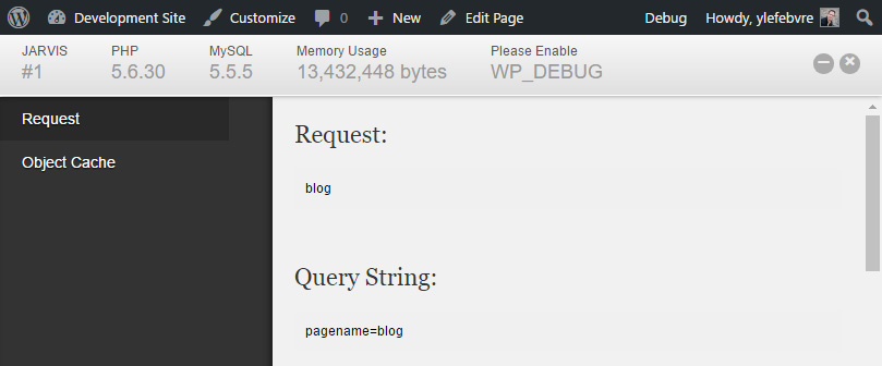 Figure 2.9 – The Debug Bar plugin
