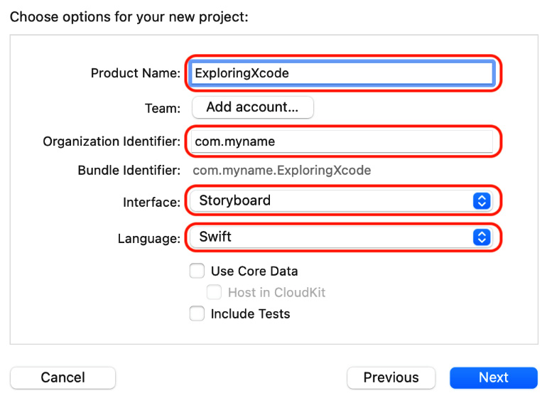 Figure 1.4: Choose options for your new project screen
