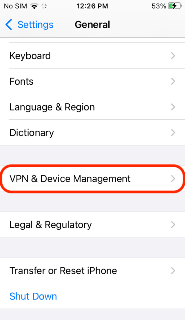 Figure 1.20: Device Management setting in iOS Settings
