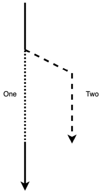 Figure 1.5 – Immutable borrow path
