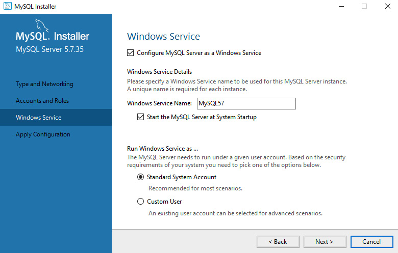 Figure 1.6 – Windows MySQL Installer: Windows Service
