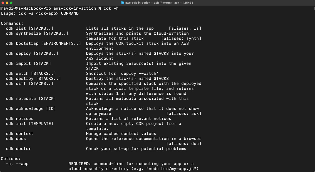 Figure 1.6 – Making sure the CDK toolset is installed correctly