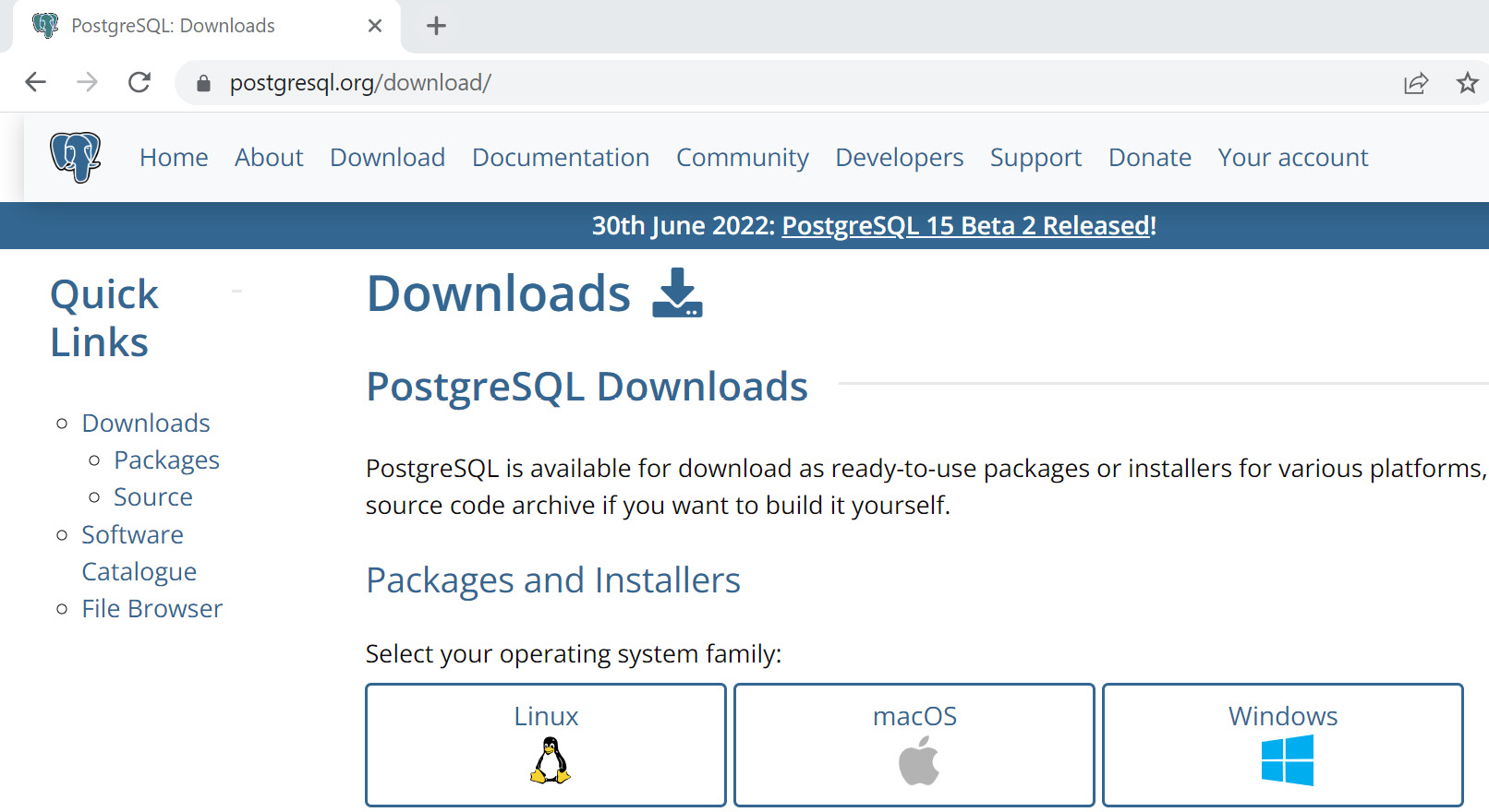 Figure 0.1: PostgreSQL Downloads page
