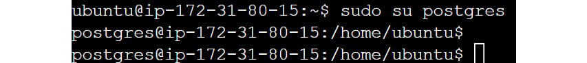 Figure 0.16: Accessing the PostgreSQL shell on Linux
