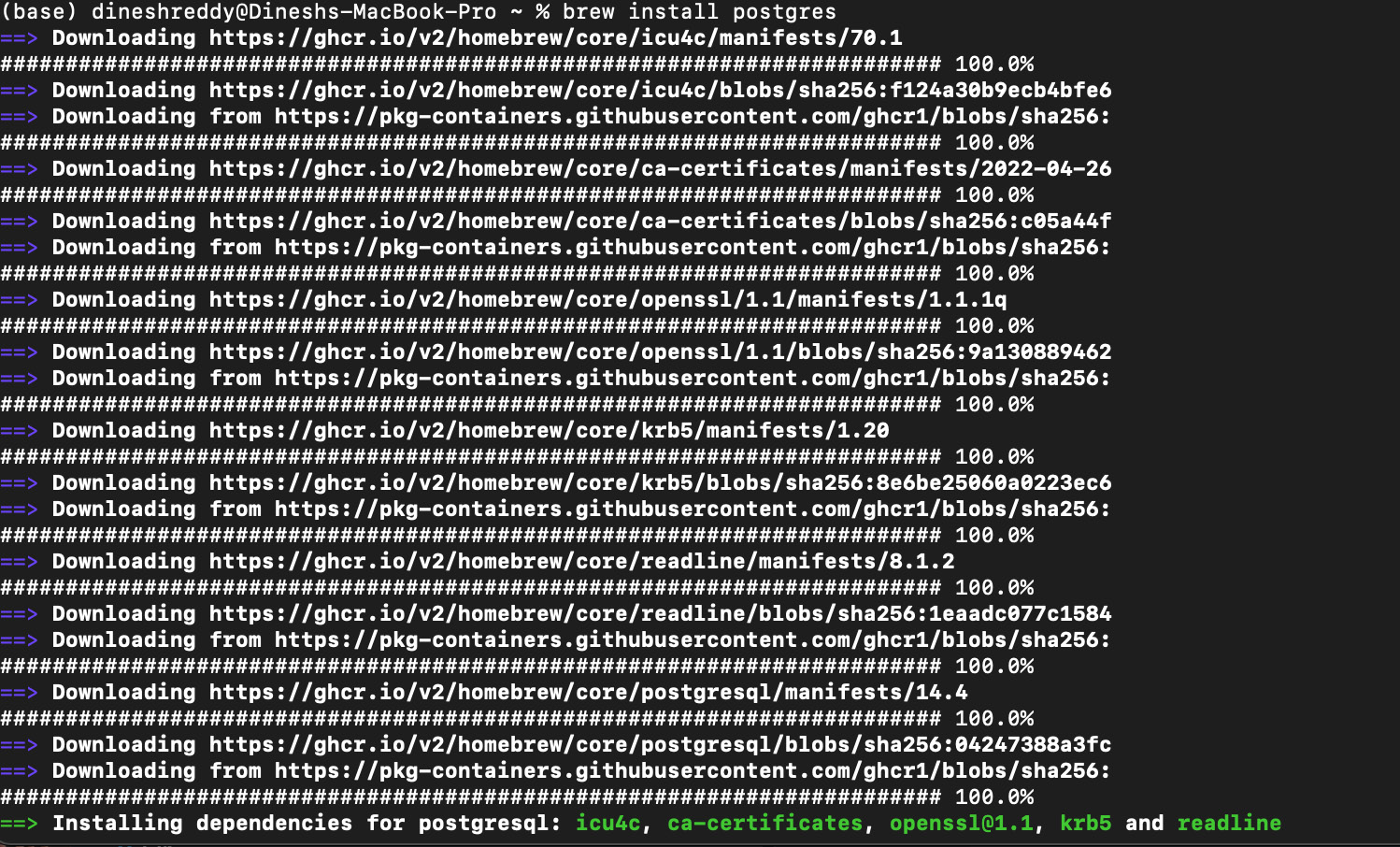 Figure 0.19: Installation progress (partially shown) for PostgreSQL
