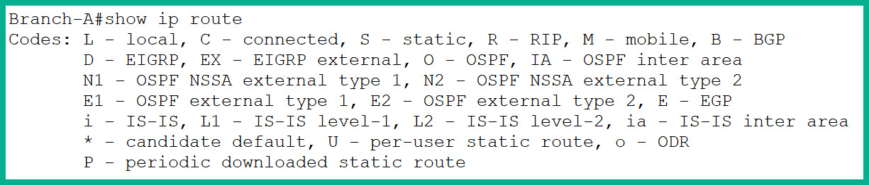 Figure 10.8: Routing protocol codes