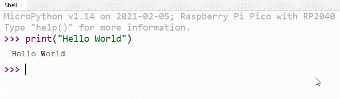 Figure 1.20 – Interpreter output
