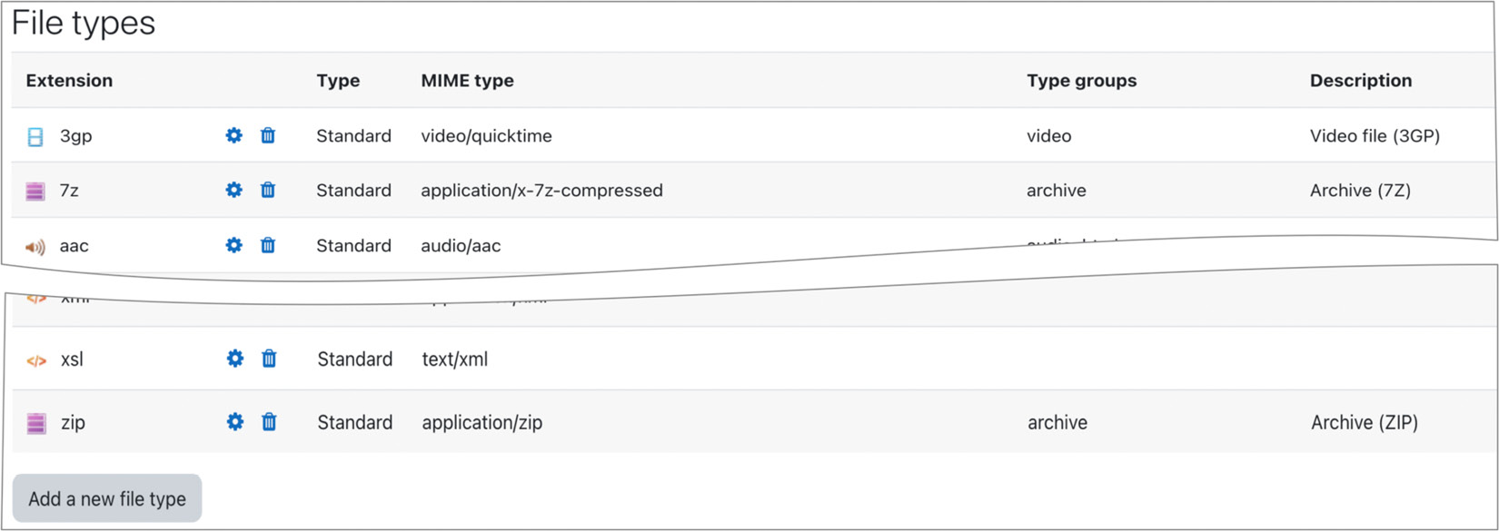 Figure 2.17 – Moodle file types
