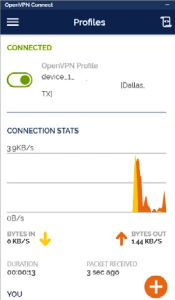 Figure 1.16 – OpenVPN client
