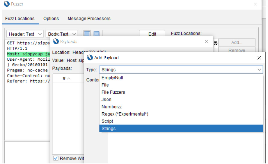 Figure 2.31 – Payloads | Add Payload