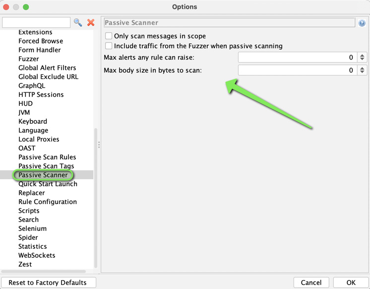 Figure 3.17 – The Passive Scanner options