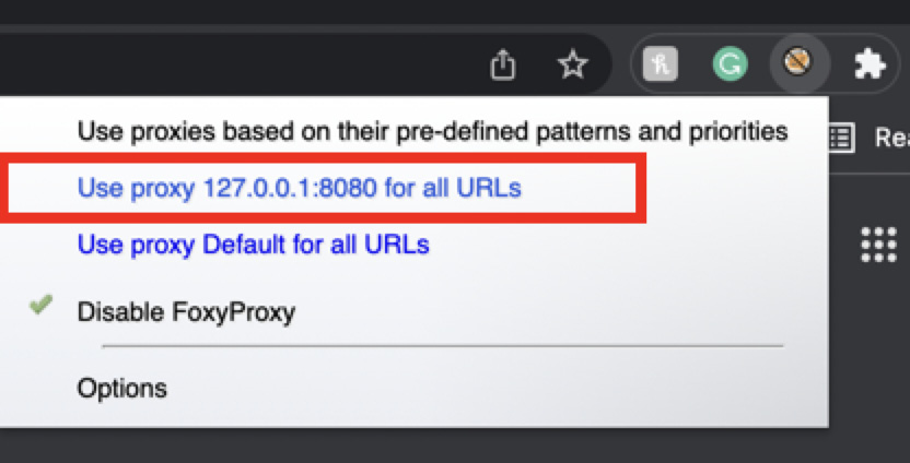 Figure 1.30 – Choosing the created proxy