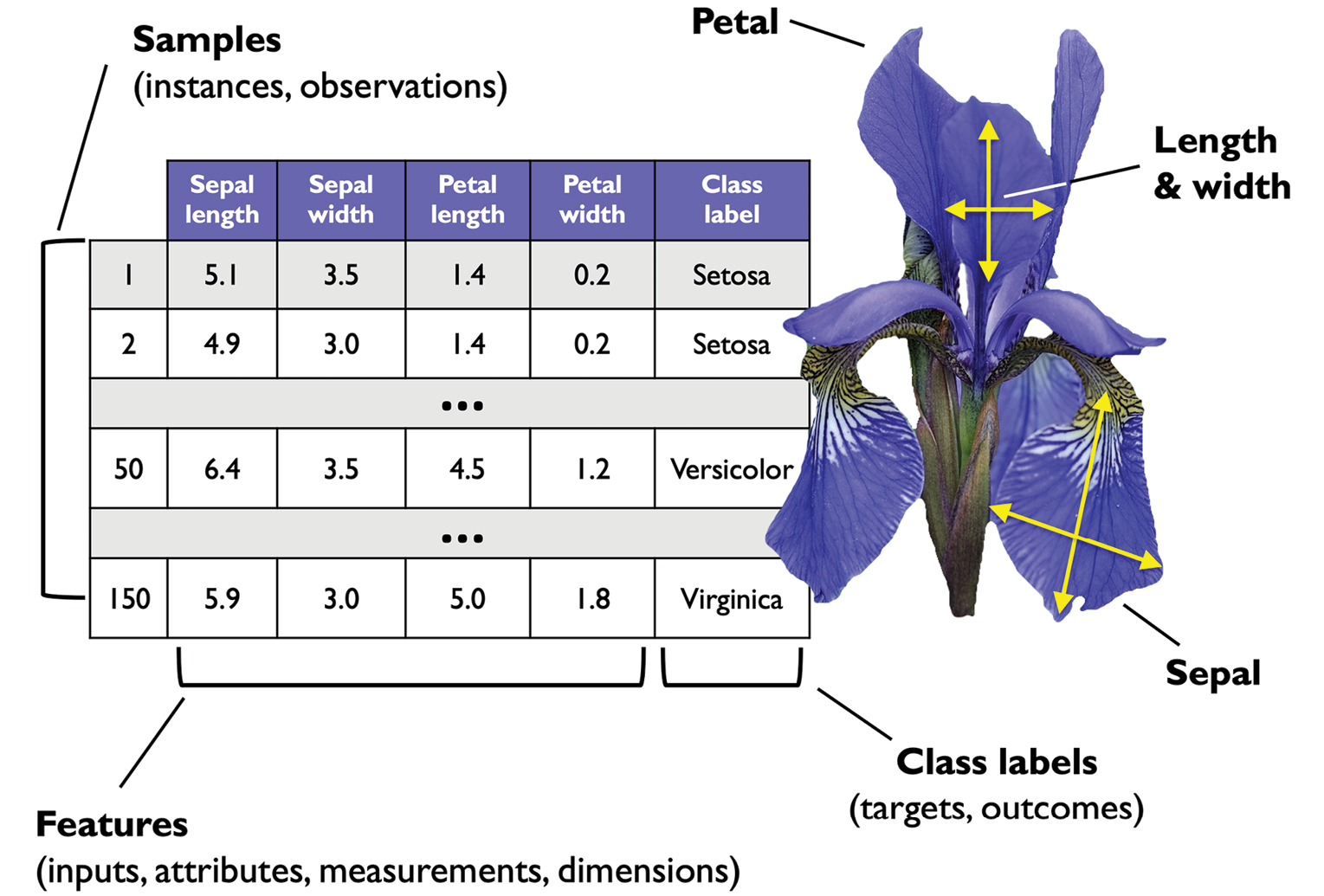 Diagram

Description automatically generated