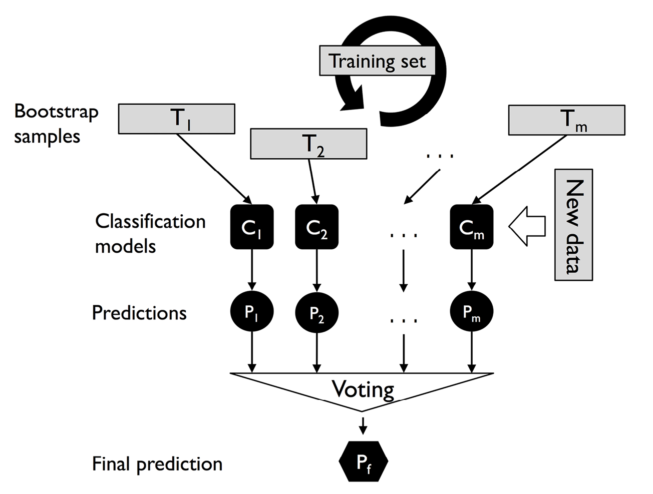 Diagram

Description automatically generated