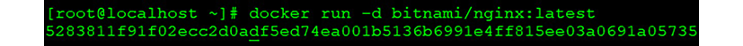 Figure 1.5 – Docker run output
