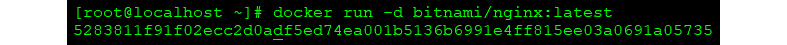 Figure 1.3: Container ID displayed