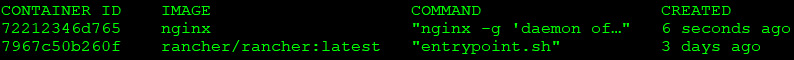 Figure 1.4: Currently running containers