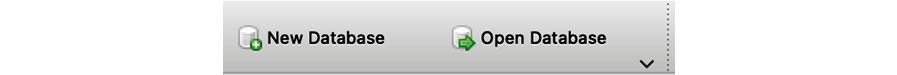 Figure 2.16: Click the Open Database button