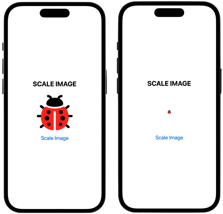 Figure 2.7: Scaling an image
