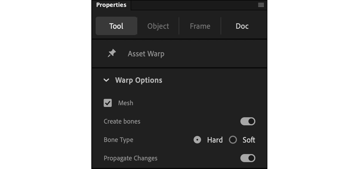 Figure 1.4 – The Asset Warp tool properties
