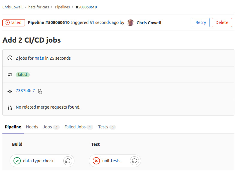 Figure 4.9 – Details page for the completed pipeline that validates Python data types and runs unit tests