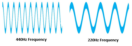 Figure 3.2 – Frequencies
