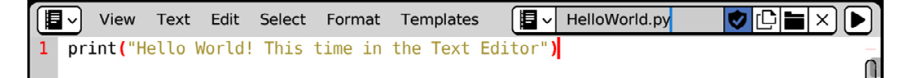 Figure 1.19: Renaming text blocks in Blender