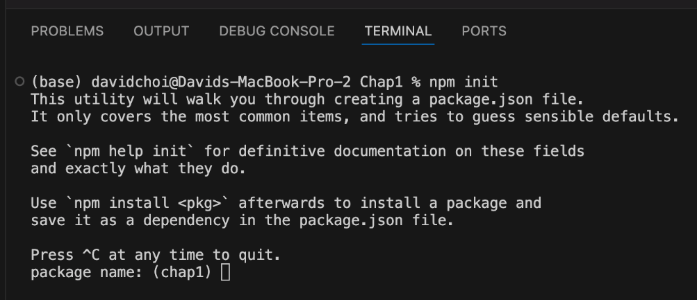Figure 1.1 – npm init screen