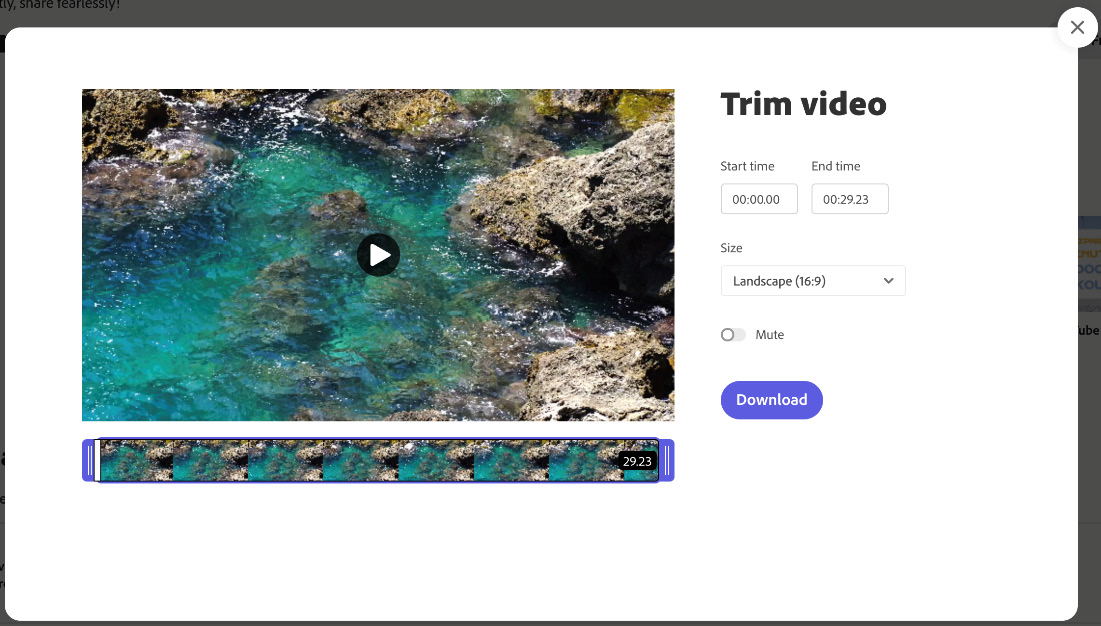 Figure 12.5 – Trim video options