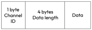 Figure 6.10: Byte structure of the data packet for our remote logger