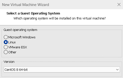 Figure 1.12 – Selecting a guest operating system