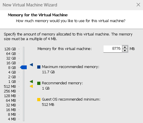 Figure 1.14 – Specifying the amount of memory