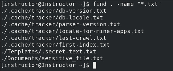 Figure 2.29 – Finding files with the ﻿.txt﻿ extension