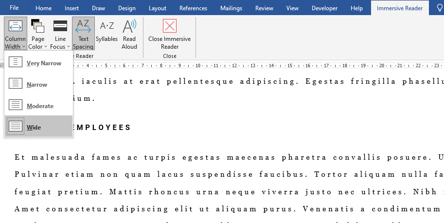 Figure 1.14 – Immersive reader column width options
