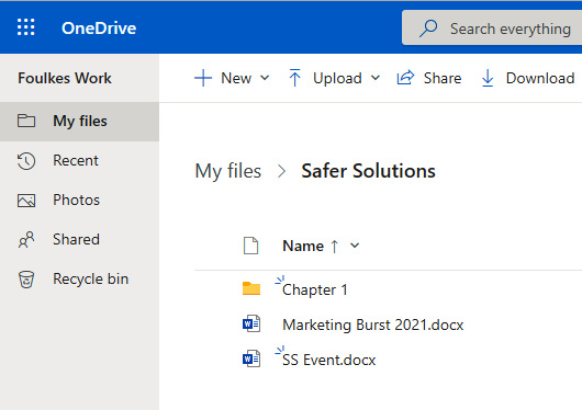 Figure 1.24 – The contents of the Safer Solutions folder on OneDrive
