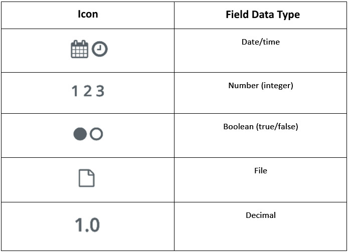 Figure 3.32 – Action step field data ty﻿pes