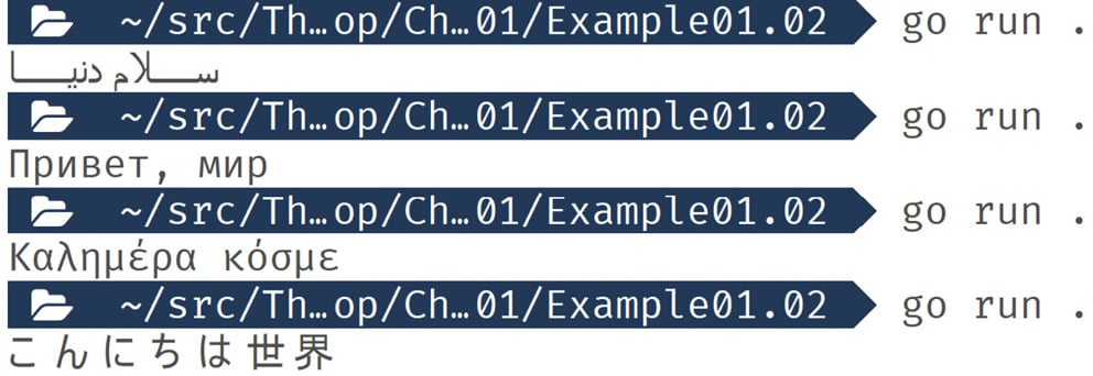 Figure 1.2: Output displaying valid values