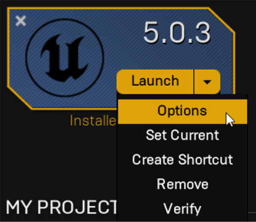 Figure 1.4 – Location of the Options menu on an engine slot