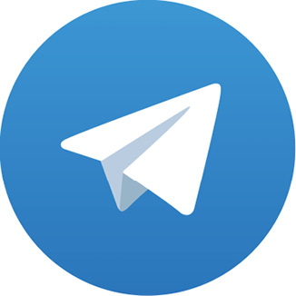 Figure 1.14 – The Telegram icon