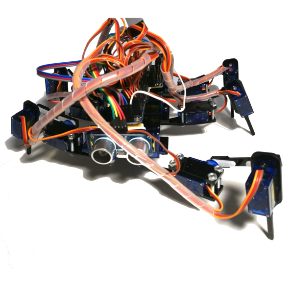 Figure 1.9 – Spiderbot – a servo motor-based hexapod