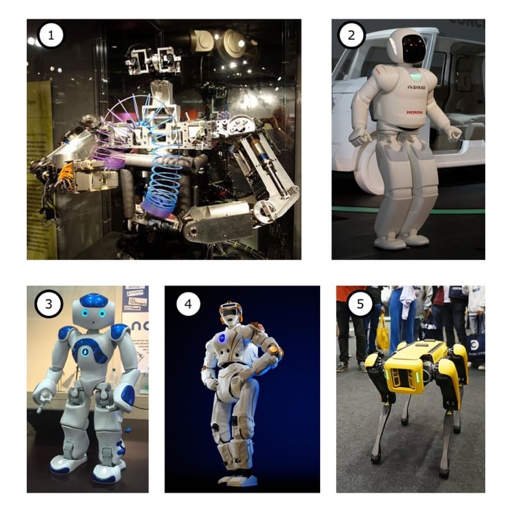 Figure 1.3 – Human and animal form robots