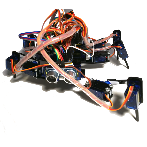 Figure 1.9 – Spiderbot – a servomotor-based hexapod