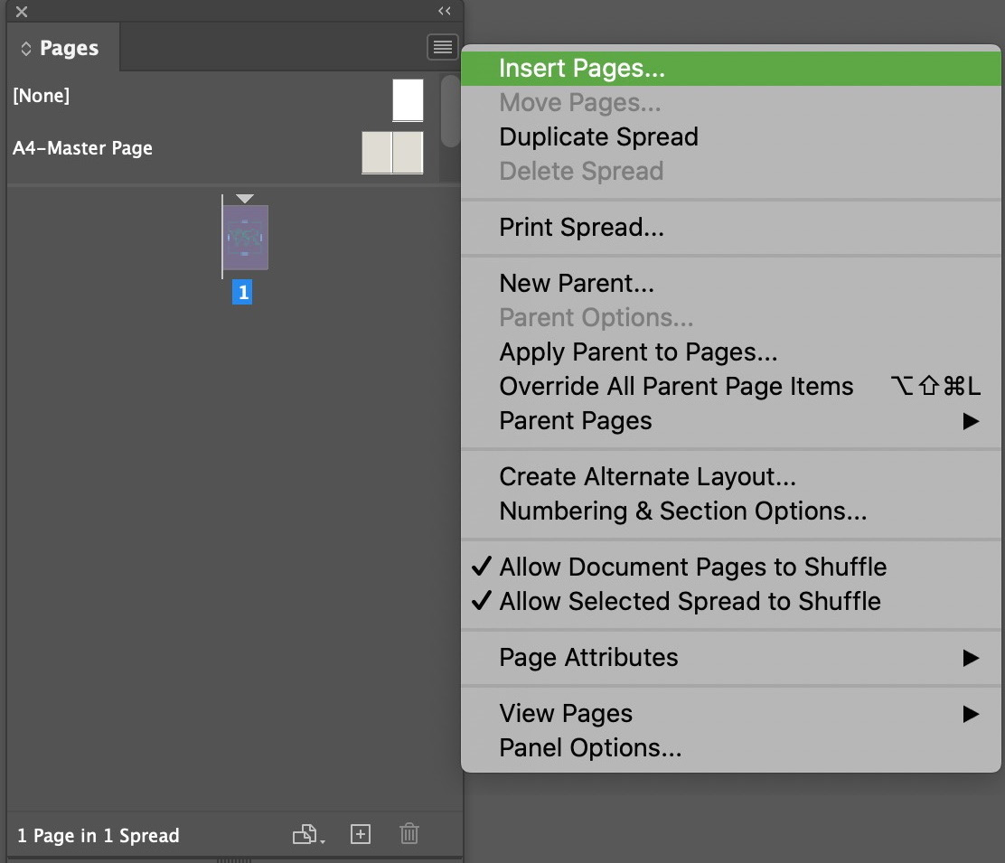 Figure 1.16: The Pages panel menu