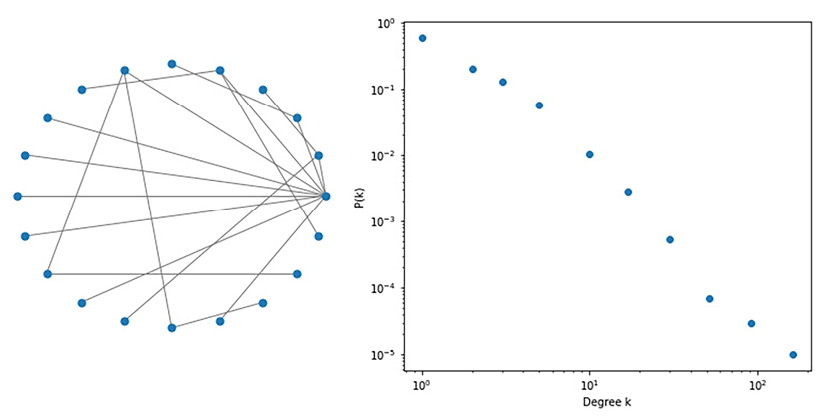 Figure 1.22: Barabási-Albert model (left) with 20 nodes; distribution of connectivity with n=100.000 nodes (right), showing the scale-free power law distribution
