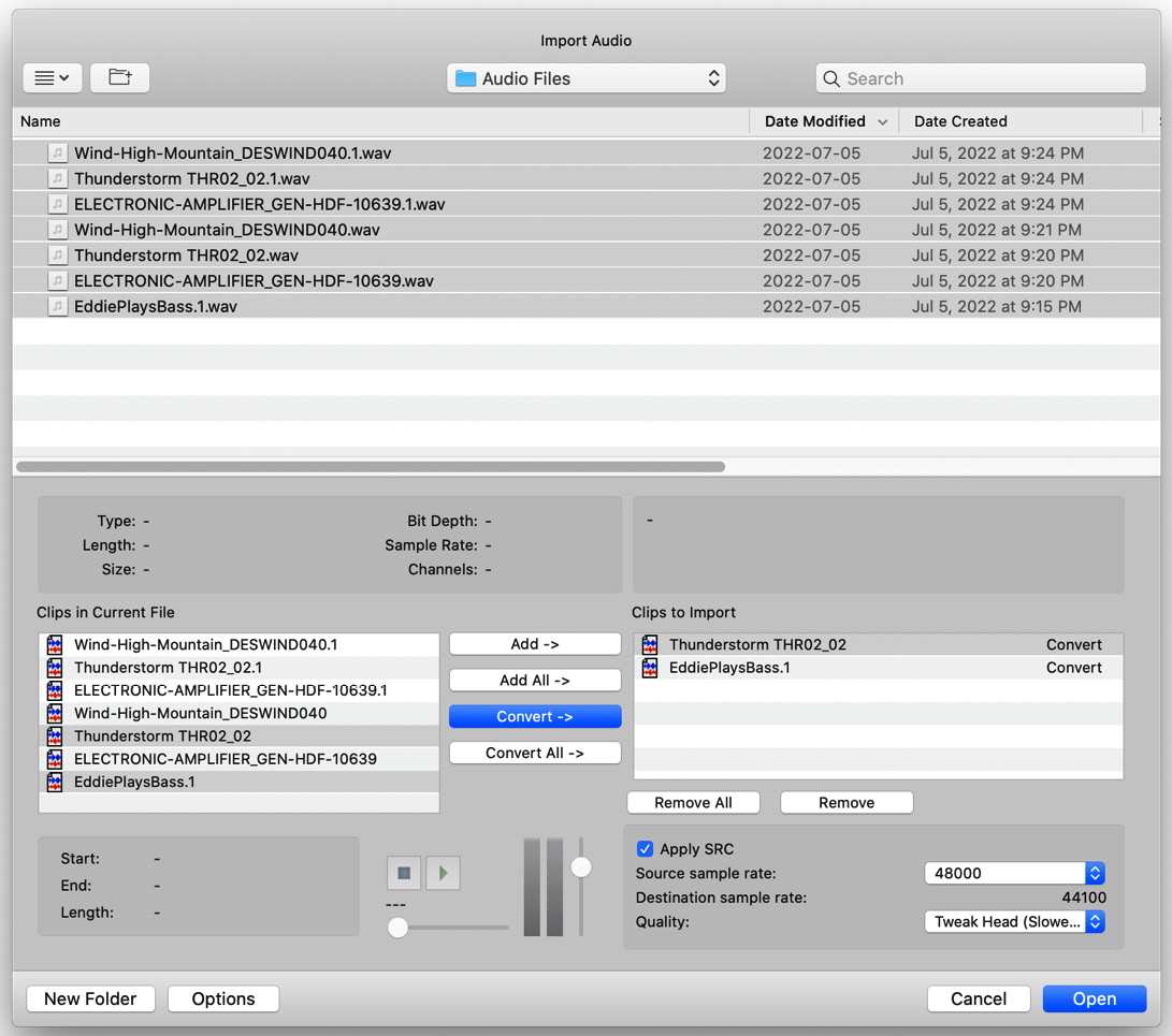 Figure 2.1: The Import Audio window