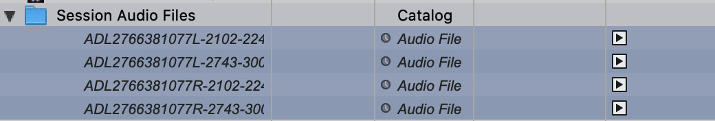 Figure 2.12: The Workspace window showing missing files