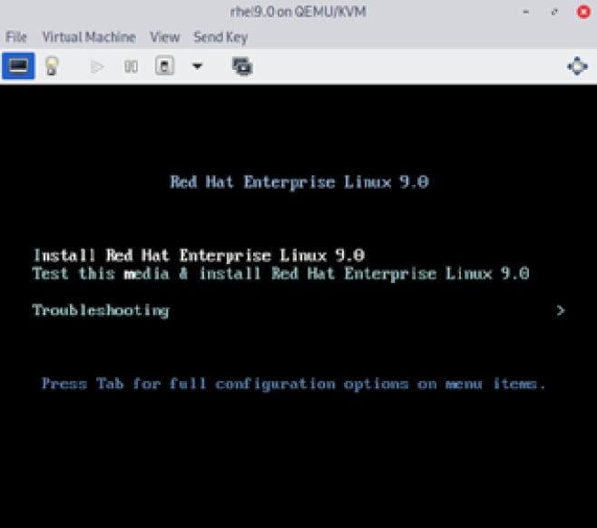 Figure 1.15 – Initial boot screen for RHEL 9 installation with Install selected
