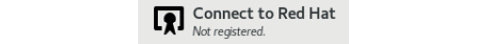 Figure 1.28 – RHEL 9 install – the Connect to Red Hat selection icon
